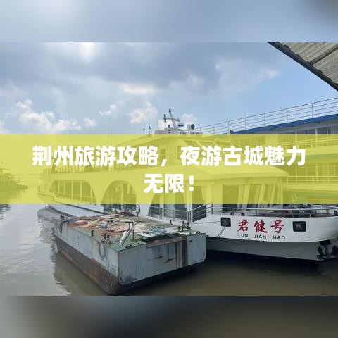 开张圣听