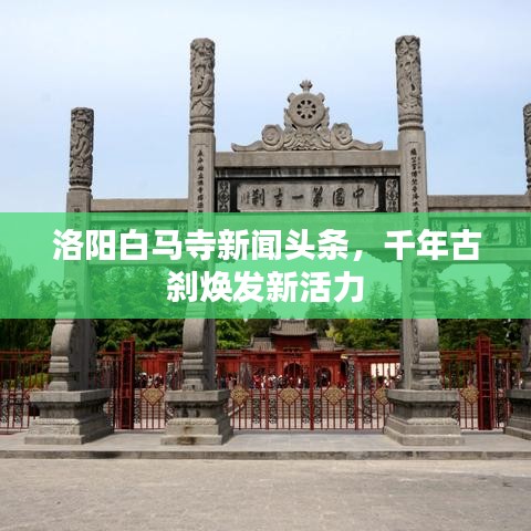 洛阳白马寺新闻头条，千年古刹焕发新活力