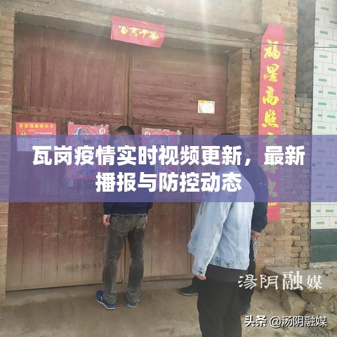 瓦岗疫情实时视频更新，最新播报与防控动态