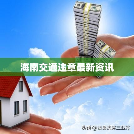 海南交通违章最新资讯