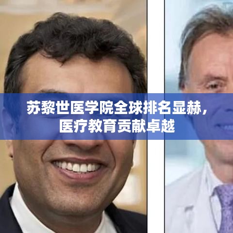 苏黎世医学院全球排名显赫，医疗教育贡献卓越