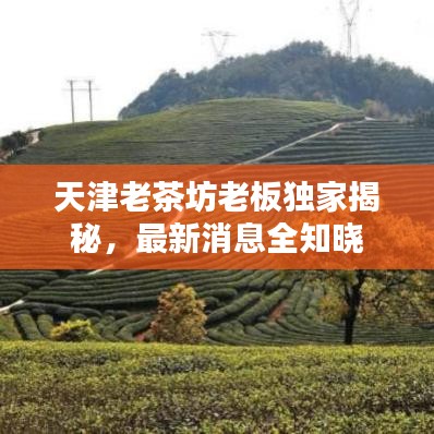 天津老茶坊老板独家揭秘，最新消息全知晓