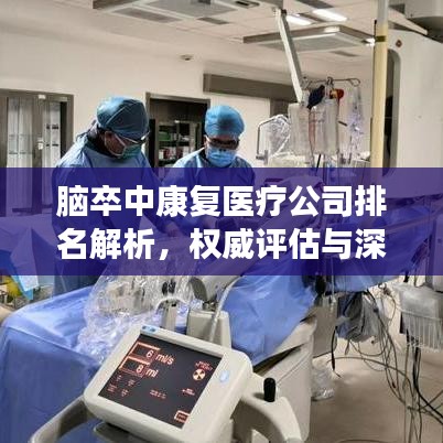 脑卒中康复医疗公司排名解析，权威评估与深度对比