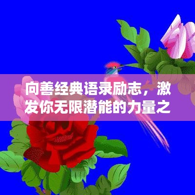 向善经典语录励志，激发你无限潜能的力量之源！