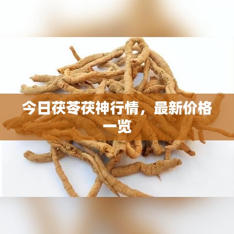 今日茯苓茯神行情，最新价格一览
