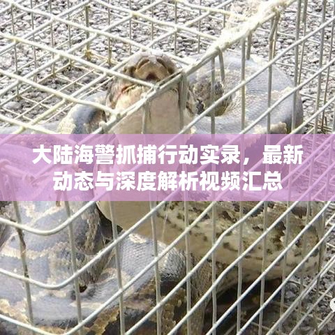 踊贵屦贱