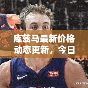 库兹马最新价格动态更新，今日行情揭秘！