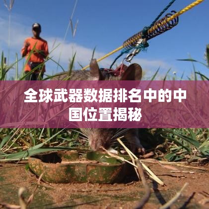 全球武器数据排名中的中国位置揭秘