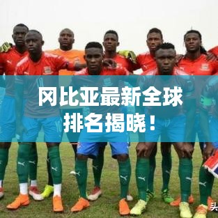 冈比亚最新全球排名揭晓！