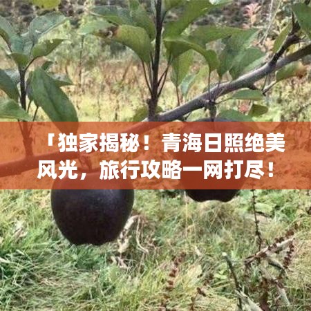 月里嫦娥