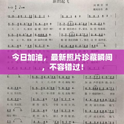 今日加油，最新照片珍藏瞬间，不容错过！