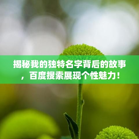 课程中心 第16页