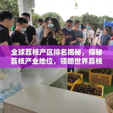 全球荔枝产区排名揭秘，探秘荔枝产业地位，领略世界荔枝风采