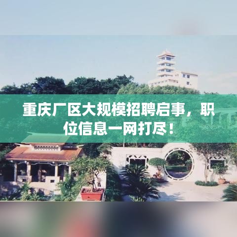 重庆厂区大规模招聘启事，职位信息一网打尽！