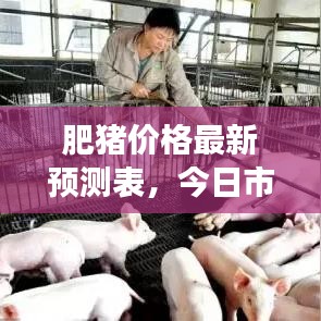 成功案例 第13页