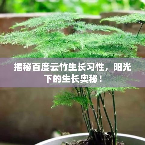 招生院校 第12页