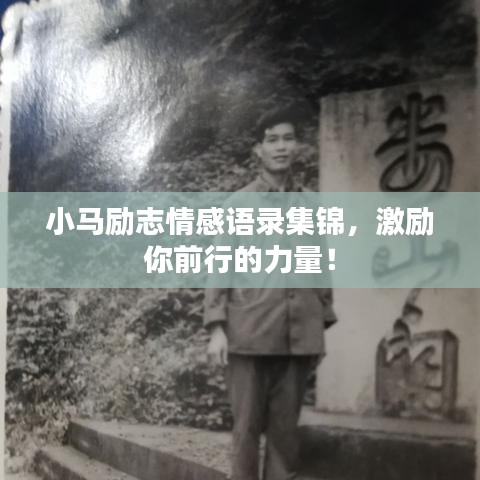 小马励志情感语录集锦，激励你前行的力量！