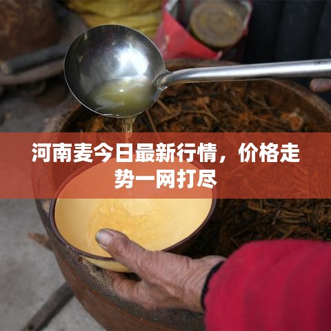 2025年5月3日 第2页
