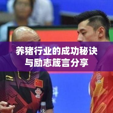 新闻动态 第9页