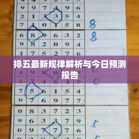 排五最新规律解析与今日预测报告