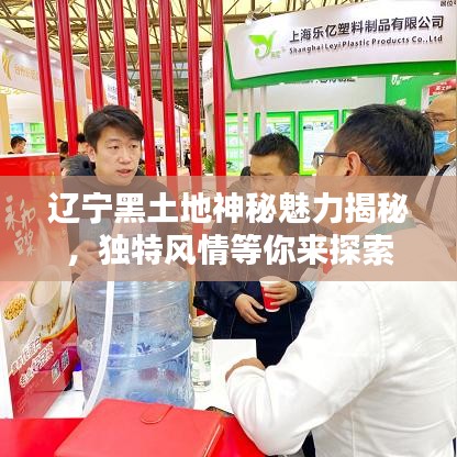 辽宁黑土地神秘魅力揭秘，独特风情等你来探索