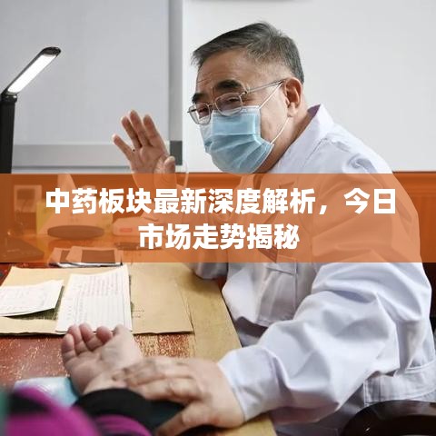 中药板块最新深度解析，今日市场走势揭秘