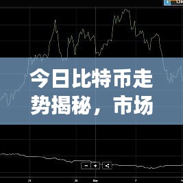 今日比特币走势揭秘，市场动向分析，投资者应对策略