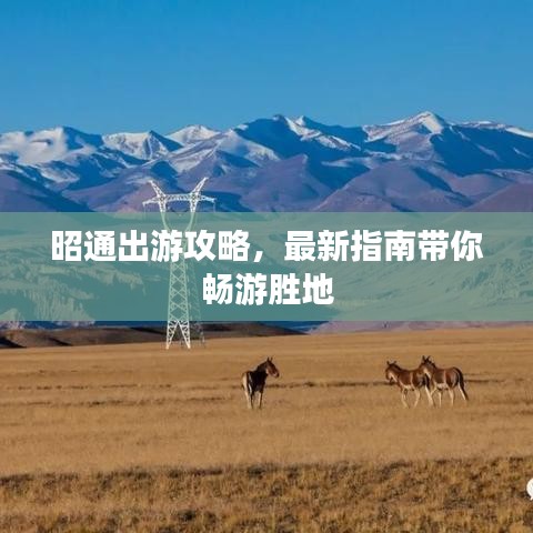 昭通出游攻略，最新指南带你畅游胜地