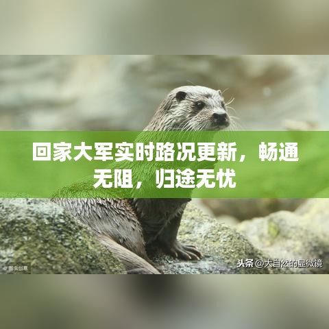 回家大军实时路况更新，畅通无阻，归途无忧