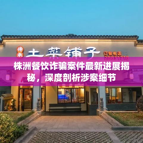 株洲餐饮诈骗案件最新进展揭秘，深度剖析涉案细节