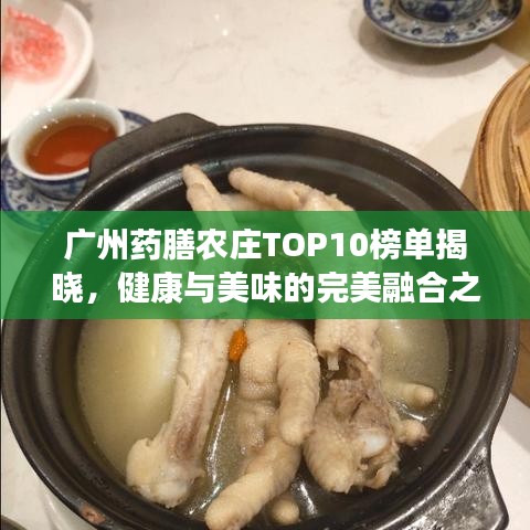 广州药膳农庄TOP10榜单揭晓，健康与美味的完美融合之旅