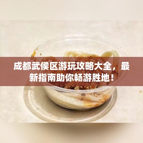 成都武侯区游玩攻略大全，最新指南助你畅游胜地！