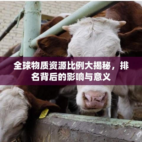 全球物质资源比例大揭秘，排名背后的影响与意义