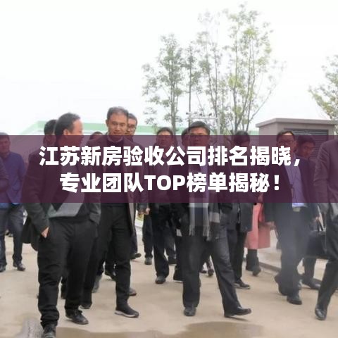 江苏新房验收公司排名揭晓，专业团队TOP榜单揭秘！