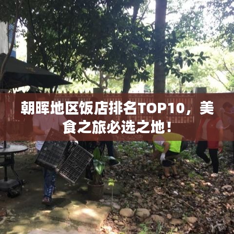 朝晖地区饭店排名TOP10，美食之旅必选之地！