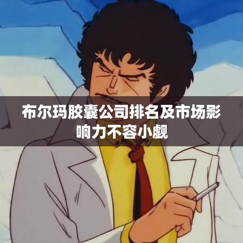 布尔玛胶囊公司排名及市场影响力不容小觑