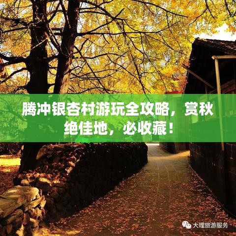 腾冲银杏村游玩全攻略，赏秋绝佳地，必收藏！