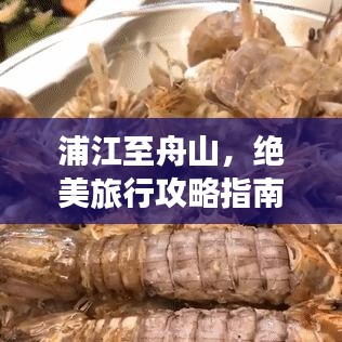 浦江至舟山，绝美旅行攻略指南
