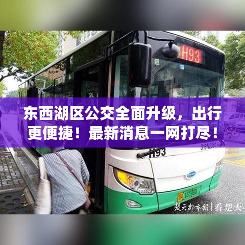 东西湖区公交全面升级，出行更便捷！最新消息一网打尽！