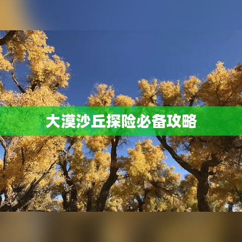 大漠沙丘探险必备攻略