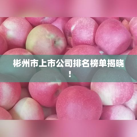 彬州市上市公司排名榜单揭晓！