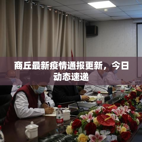 商丘最新疫情通报更新，今日动态速递