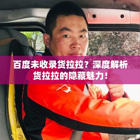 百度未收录货拉拉？深度解析货拉拉的隐藏魅力！