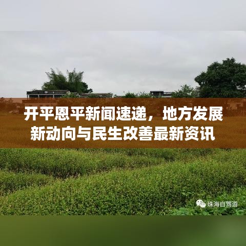 开平恩平新闻速递，地方发展新动向与民生改善最新资讯