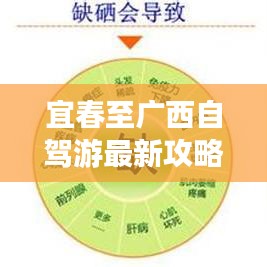 宜春至广西自驾游最新攻略，沿途美景一网打尽！