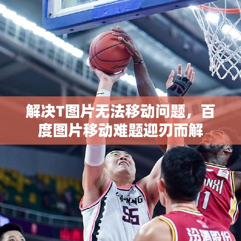 解决T图片无法移动问题，百度图片移动难题迎刃而解