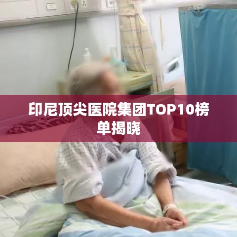 印尼顶尖医院集团TOP10榜单揭晓