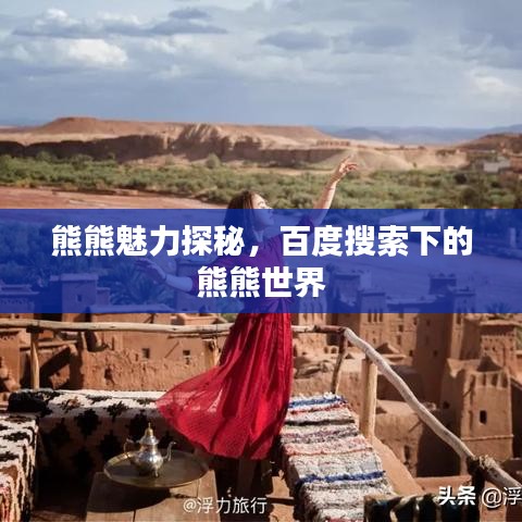 熊熊魅力探秘，百度搜索下的熊熊世界