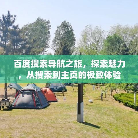 百度搜索导航之旅，探索魅力，从搜索到主页的极致体验