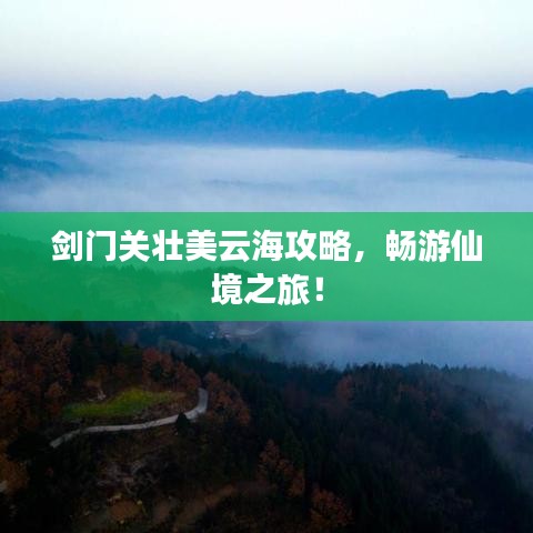 剑门关壮美云海攻略，畅游仙境之旅！
